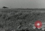 Immagine di Soldati statunitensi Colleville-sur-Mer Normandia Francia, 1944, secondo 16 filmato di repertorio 65675061290