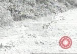 Standbild Franzosen Eterville Frankreich, 1944, aus Sekunde 61 historischem Filmmaterial Videoclip 65675061292