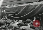 Immagine di Civili francese Parigi Francia, 1944, secondo 27 filmato di repertorio 65675061297