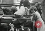 Immagine di Civili francese Parigi Francia, 1944, secondo 39 filmato di repertorio 65675061297