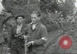 Immagine di Il francese di Seconda Divisione Corazzate Francia, 1944, secondo 41 filmato di repertorio 65675061298