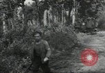 Immagine di Il francese di Seconda Divisione Corazzate Francia, 1944, secondo 53 filmato di repertorio 65675061298