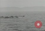 Standbild Invasion Konvoi im Englischen Kanal, 1944, aus Sekunde 6 historischem Filmmaterial Videoclip 65675061300