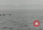 Standbild Invasion Konvoi im Englischen Kanal, 1944, aus Sekunde 8 historischem Filmmaterial Videoclip 65675061300