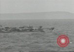 Standbild Invasion Konvoi im Englischen Kanal, 1944, aus Sekunde 46 historischem Filmmaterial Videoclip 65675061300