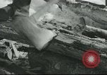 Image of farmer United States USA, 1940, second 32 stock footage video 65675061310