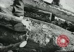 Image of farmer United States USA, 1940, second 49 stock footage video 65675061310