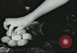 Standbild Poor Farm Familie United States USA, 1940, aus Sekunde 34 historischem Filmmaterial Videoclip 65675061312