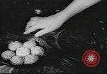 Standbild Poor Farm Familie United States USA, 1940, aus Sekunde 35 historischem Filmmaterial Videoclip 65675061312