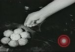 Standbild Poor Farm Familie United States USA, 1940, aus Sekunde 36 historischem Filmmaterial Videoclip 65675061312