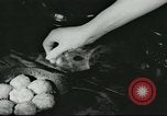 Standbild Poor Farm Familie United States USA, 1940, aus Sekunde 37 historischem Filmmaterial Videoclip 65675061312