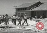 Immagine di Fattoria in Palestina Gerusalemme Palestina, 1947, secondo 6 filmato di repertorio 65675061319