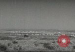 Immagine di Fattoria in Palestina Gerusalemme Palestina, 1947, secondo 13 filmato di repertorio 65675061319