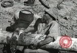 Immagine di Fattoria in Palestina Gerusalemme Palestina, 1947, secondo 28 filmato di repertorio 65675061319