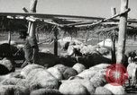 Immagine di Fattoria in Palestina Gerusalemme Palestina, 1947, secondo 57 filmato di repertorio 65675061319