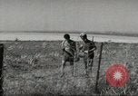 Immagine di Fattoria in Palestina Gerusalemme Palestina, 1947, secondo 61 filmato di repertorio 65675061319
