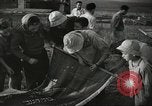 Image of Kibbutz Israel, 1956, second 20 stock footage video 65675061324