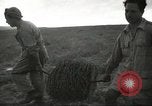 Image of Kibbutz Israel, 1956, second 42 stock footage video 65675061324