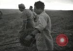 Image of Kibbutz Israel, 1956, second 43 stock footage video 65675061324