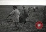Image of Kibbutz Israel, 1956, second 45 stock footage video 65675061324