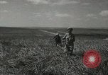 Image of Kibbutz Israel, 1956, second 50 stock footage video 65675061324