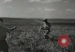 Image of Kibbutz Israel, 1956, second 51 stock footage video 65675061324