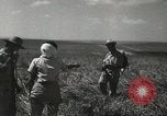 Image of Kibbutz Israel, 1956, second 52 stock footage video 65675061324