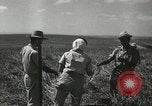 Image of Kibbutz Israel, 1956, second 54 stock footage video 65675061324