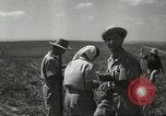 Image of Kibbutz Israel, 1956, second 56 stock footage video 65675061324