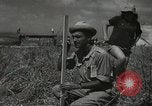Image of Kibbutz Israel, 1956, second 57 stock footage video 65675061324