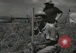Image of Kibbutz Israel, 1956, second 58 stock footage video 65675061324