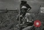 Image of Kibbutz Israel, 1956, second 59 stock footage video 65675061324