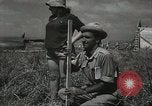 Image of Kibbutz Israel, 1956, second 60 stock footage video 65675061324