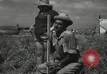 Image of Kibbutz Israel, 1956, second 61 stock footage video 65675061324