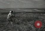 Image of Kibbutz Israel, 1956, second 62 stock footage video 65675061324