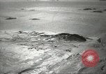 Standbild Pinguine McMurdo Sound der Antarktis, 1955, aus Sekunde 12 historischem Filmmaterial Videoclip 65675061344