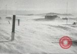 Standbild Pinguine McMurdo Sound der Antarktis, 1955, aus Sekunde 35 historischem Filmmaterial Videoclip 65675061344
