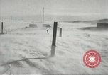 Standbild Pinguine McMurdo Sound der Antarktis, 1955, aus Sekunde 36 historischem Filmmaterial Videoclip 65675061344