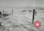 Standbild Pinguine McMurdo Sound der Antarktis, 1955, aus Sekunde 37 historischem Filmmaterial Videoclip 65675061344