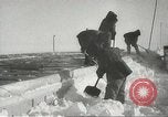 Standbild Pinguine McMurdo Sound der Antarktis, 1955, aus Sekunde 45 historischem Filmmaterial Videoclip 65675061344