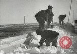 Standbild Pinguine McMurdo Sound der Antarktis, 1955, aus Sekunde 46 historischem Filmmaterial Videoclip 65675061344