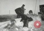 Standbild Pinguine McMurdo Sound der Antarktis, 1955, aus Sekunde 47 historischem Filmmaterial Videoclip 65675061344
