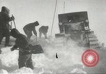 Standbild Pinguine McMurdo Sound der Antarktis, 1955, aus Sekunde 50 historischem Filmmaterial Videoclip 65675061344