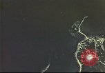 Image of B-17 bombing mission Europe, 1943, second 31 stock footage video 65675061361