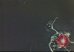 Image of B-17 bombing mission Europe, 1943, second 32 stock footage video 65675061361