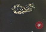 Image of B-17 bombing mission Europe, 1943, second 38 stock footage video 65675061361