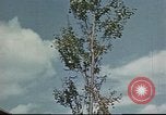 Image of B-17 bombers United Kingdom, 1943, second 25 stock footage video 65675061363