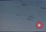 Image of B-17 bombers Europe, 1943, second 56 stock footage video 65675061364