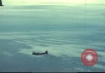 Image of B-17 Flying Fortress bombers Europe, 1943, second 8 stock footage video 65675061384