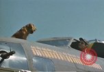 Image of B-17with 26 missions United Kingdom, 1943, second 18 stock footage video 65675061413